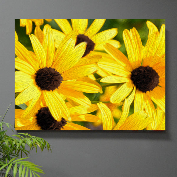 Black_Eyed_Susan_600x.jpg?v=