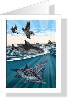 Morning Swim Dolphins &amp; Pelicans Note Cards