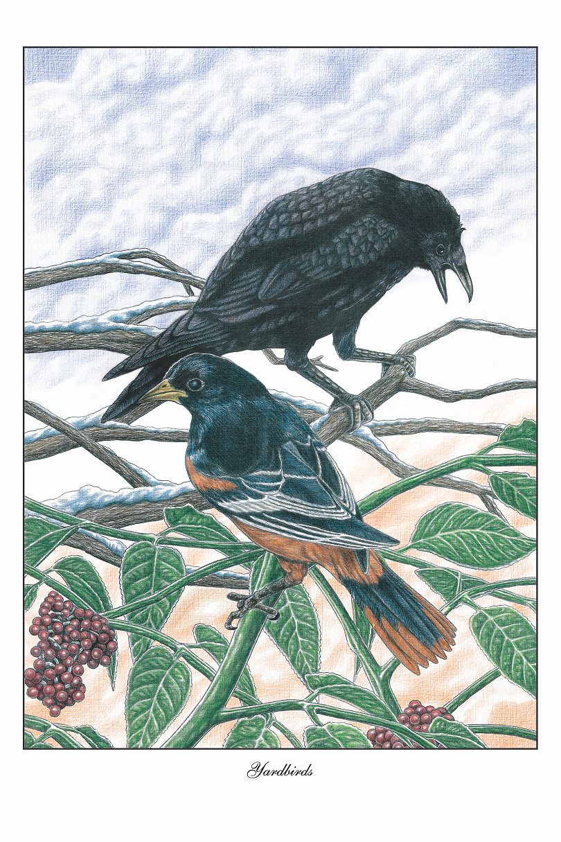 Yardbirds - Baltimore Ravens &amp; Orioles Wall Art - JWB Art Unlimited