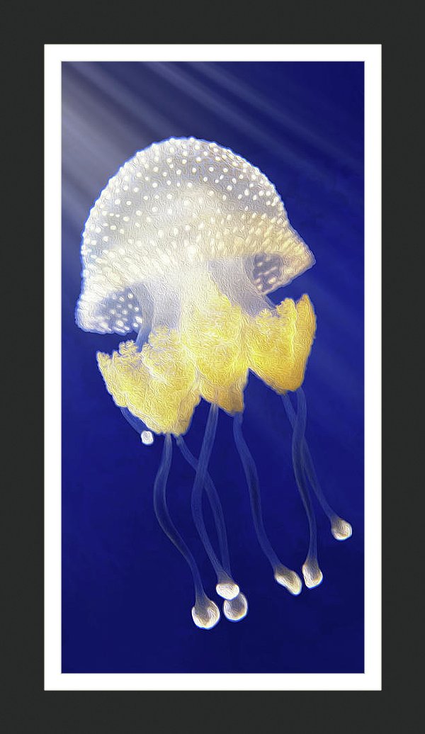 Royal Jelly Jellyfish Wall Art