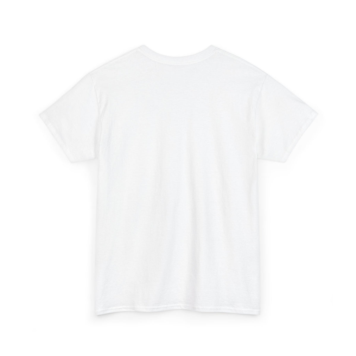 Spider Graphic Tee — Minimal Black Spider Shirt for Halloween & Everyday Wear