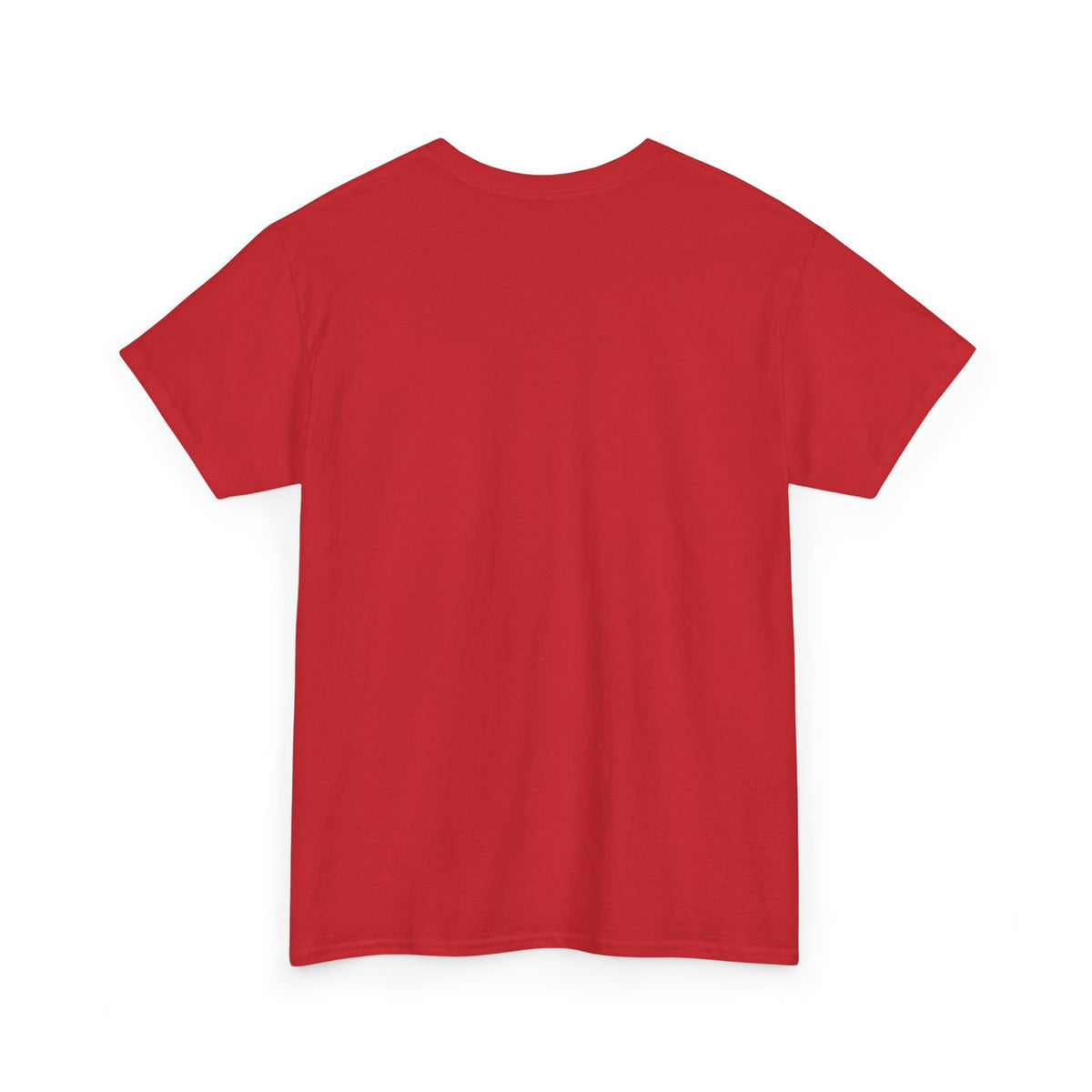 Spider Graphic Tee — Minimal Black Spider Shirt for Halloween & Everyday Wear
