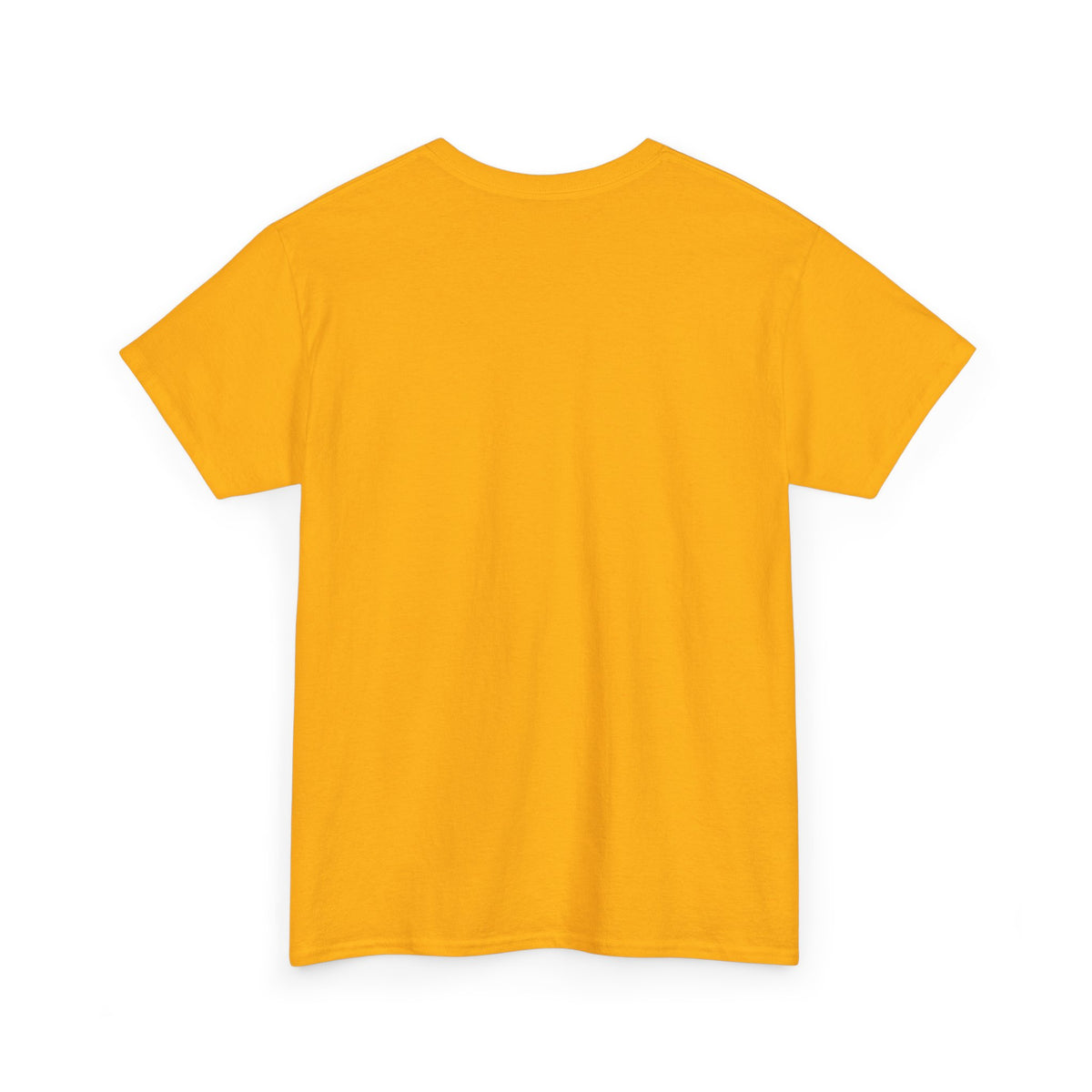 Spider Graphic Tee — Minimal Black Spider Shirt for Halloween & Everyday Wear