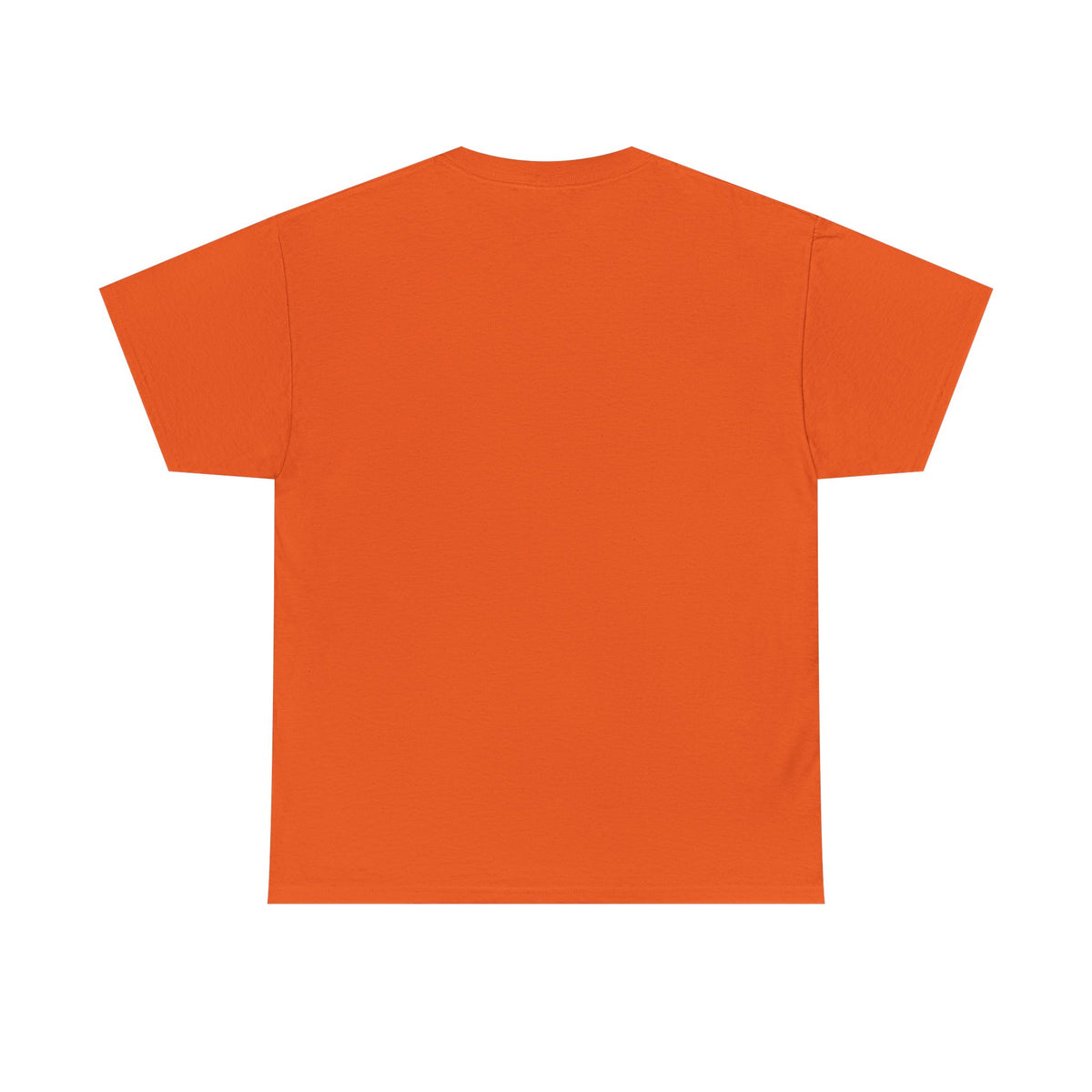 Spider Graphic Tee — Minimal Black Spider Shirt for Halloween & Everyday Wear