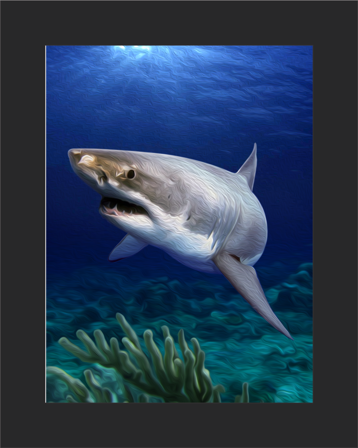 White Water Shark Print or Canvas