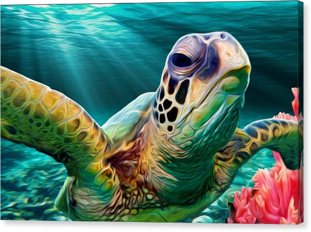 Sea Cruise Sea Turtle Wall Art
