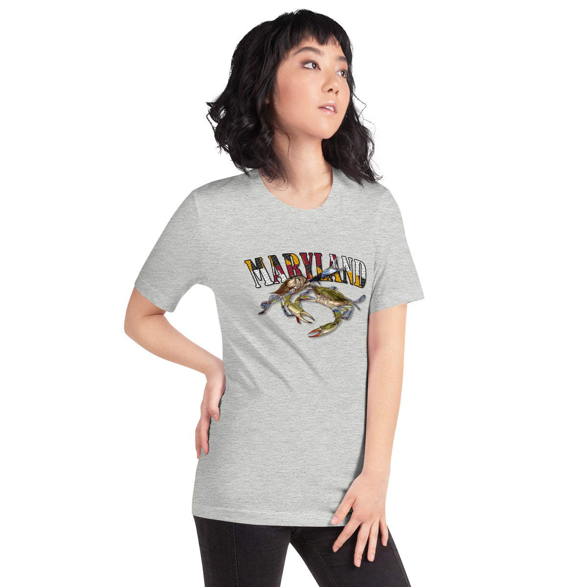 Celebrate Maryland Unisex t-shirt