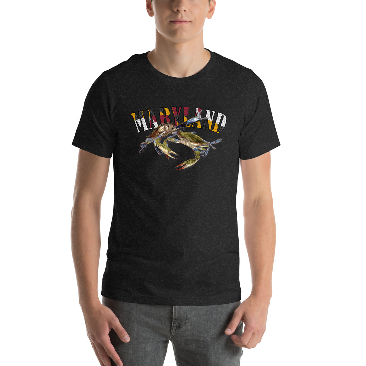 Celebrate Maryland Unisex t-shirt