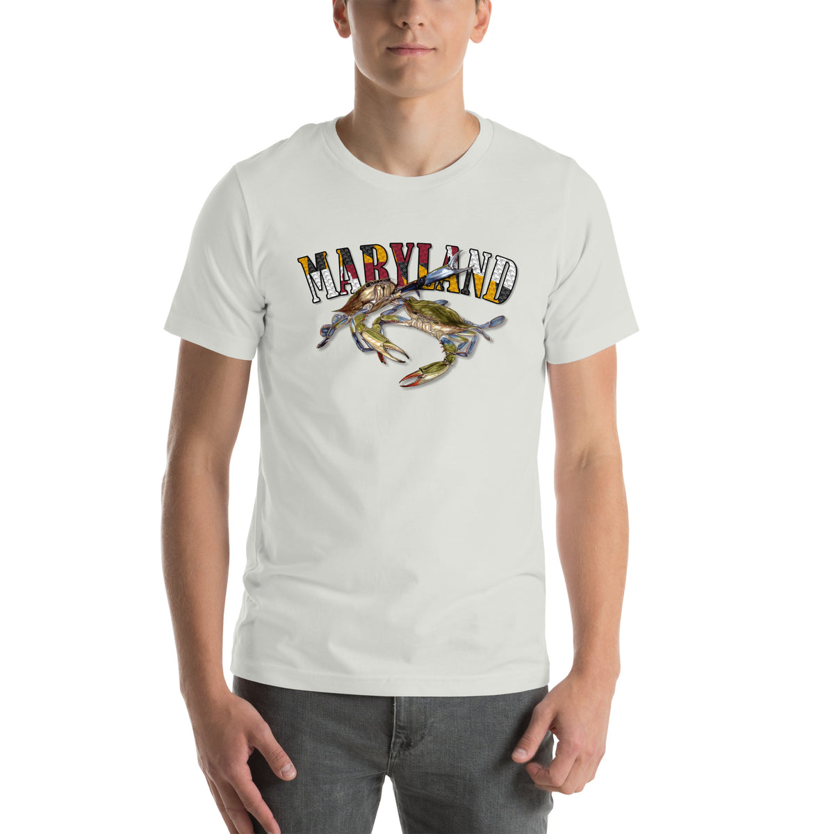 Celebrate Maryland Unisex t-shirt