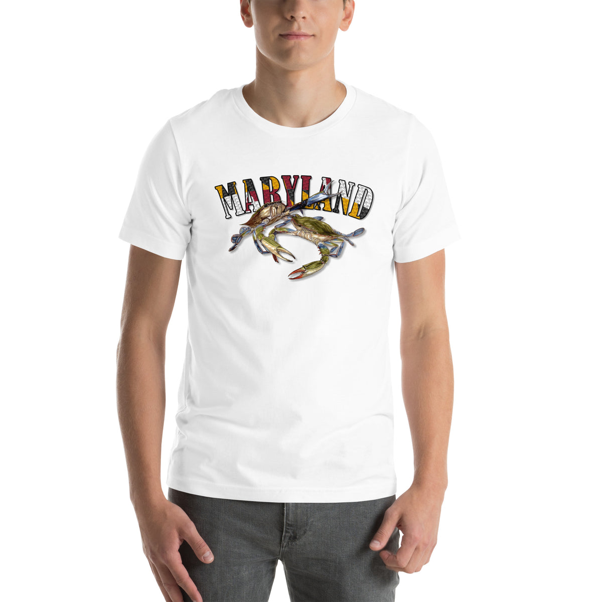 Celebrate Maryland Unisex t-shirt