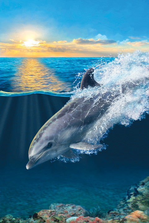 On Porpoise Dolphin Art Print - JWB Art Unlimited