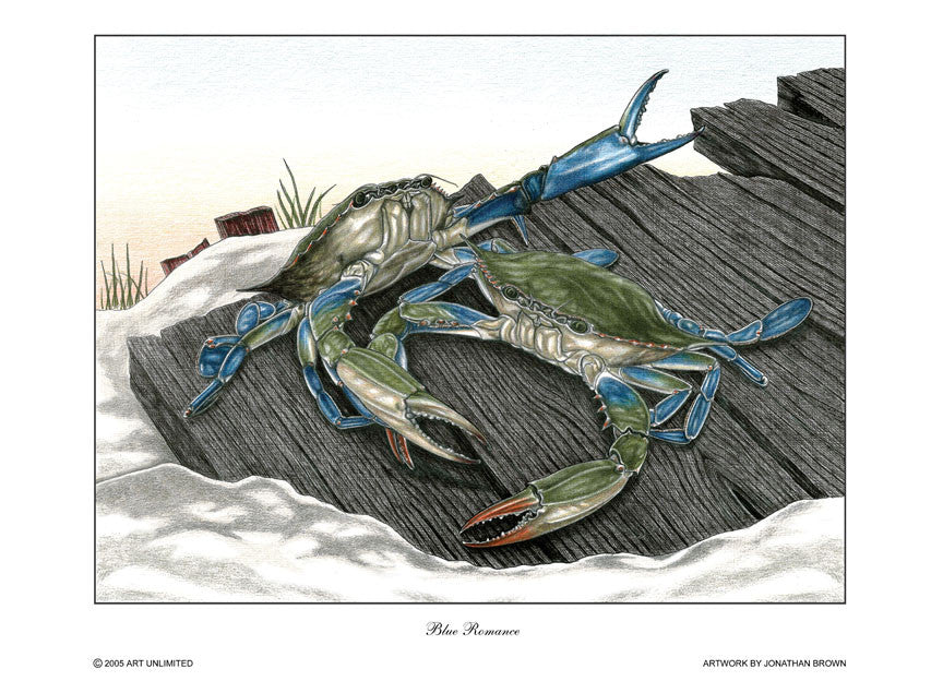 Blue Romance Crab Note Cards - JWB Art Unlimited