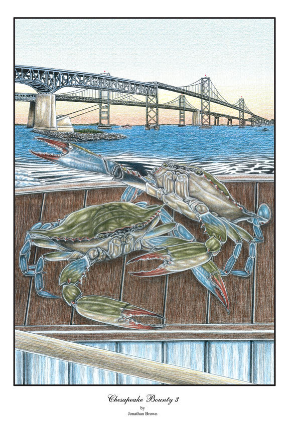 Chesapeake Bounty 3 Bay Bridge Print - JWB Art Unlimited