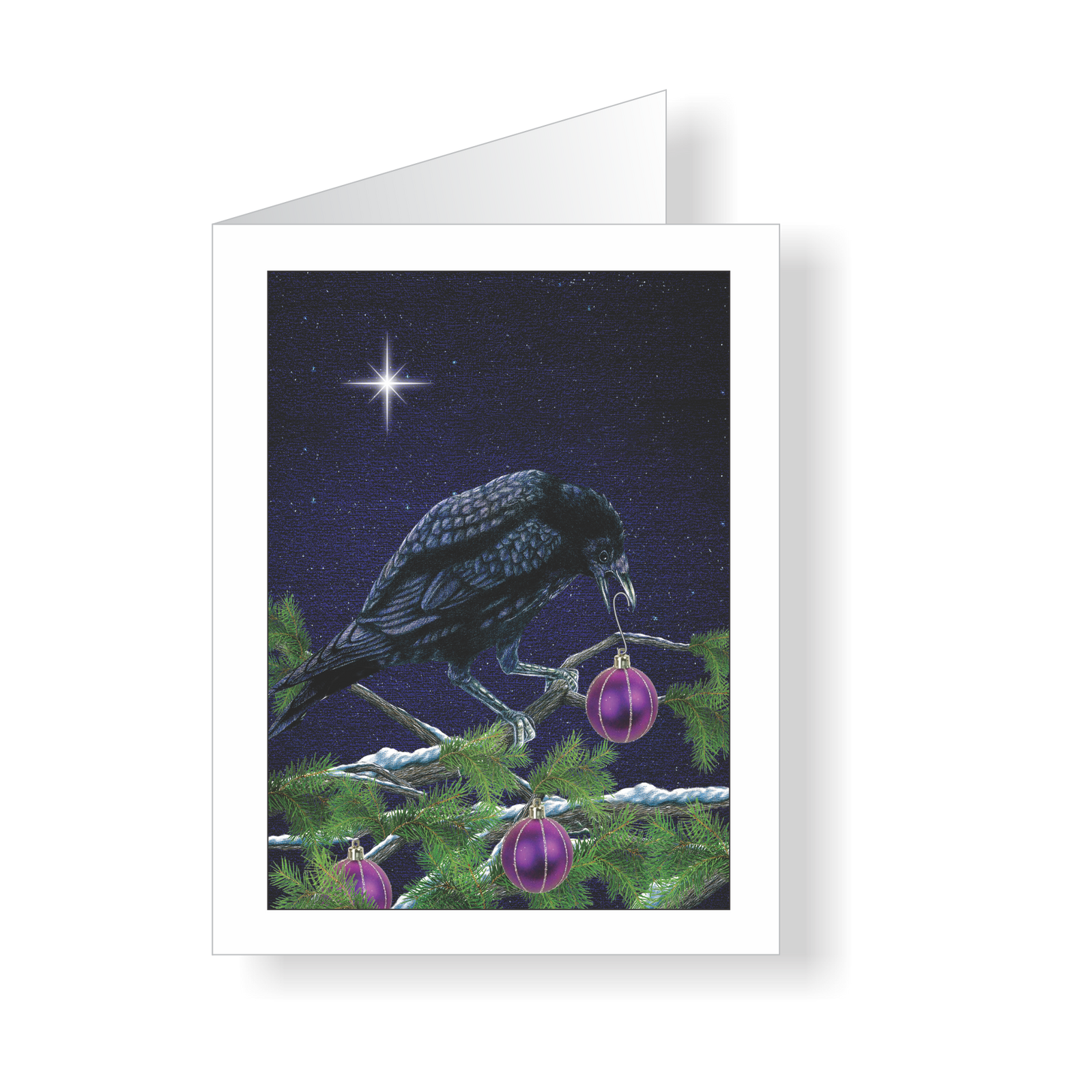 Crow Ho Ho Baltimore Sports - JWB Art Unlimited