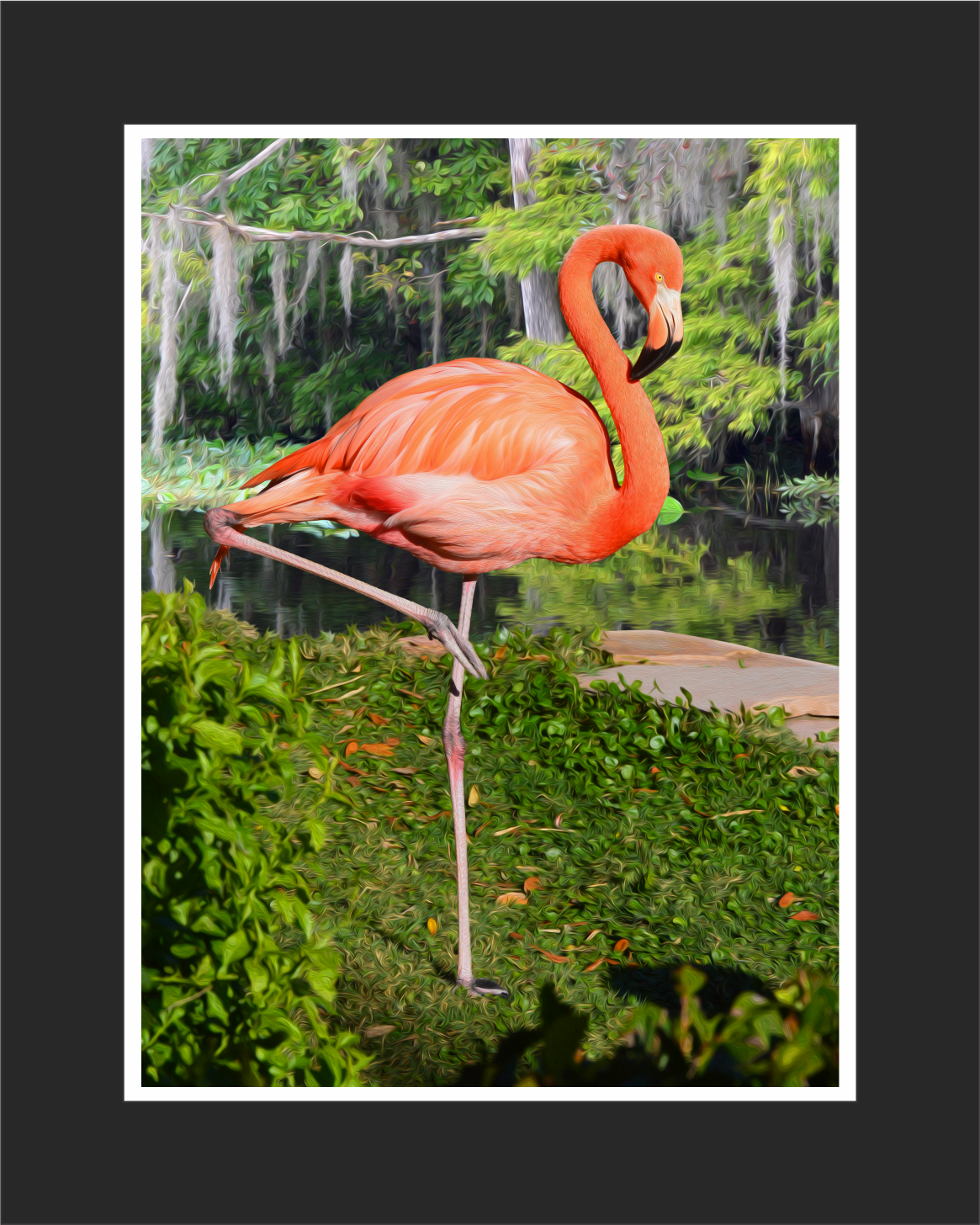 Floyd the Flamingo Wall Art - JWB Art Unlimited