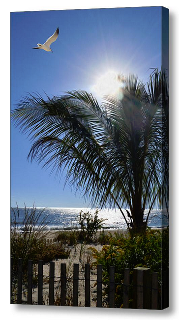 High Dune Beach Wall Art - JWB Art Unlimited