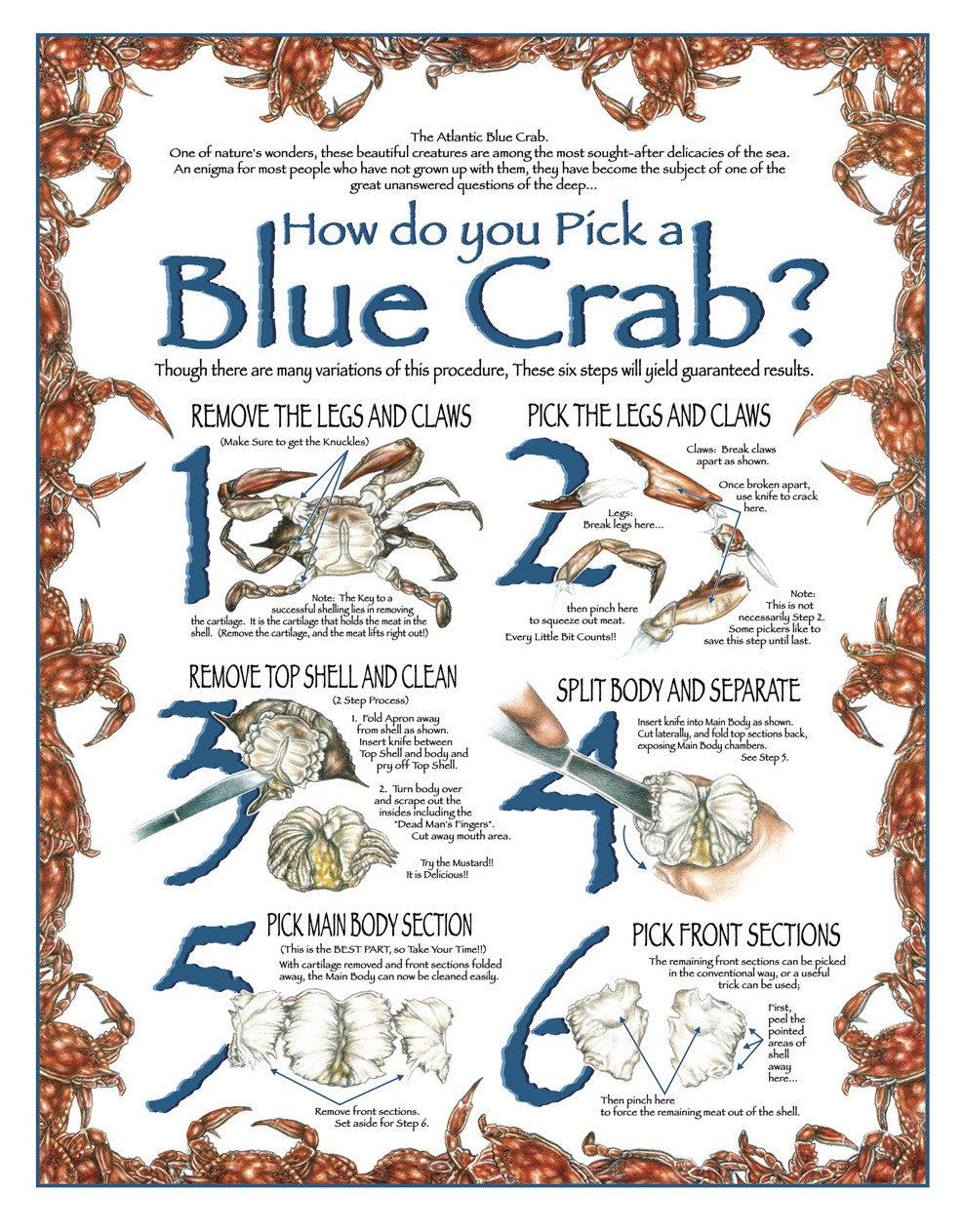 How Do You Pick a Blue Crab Wall Art - JWB Art Unlimited