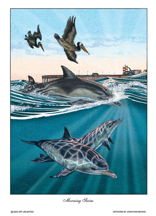 Morning Swim Dolphins &amp; Pelicans Wall Art - JWB Art Unlimited