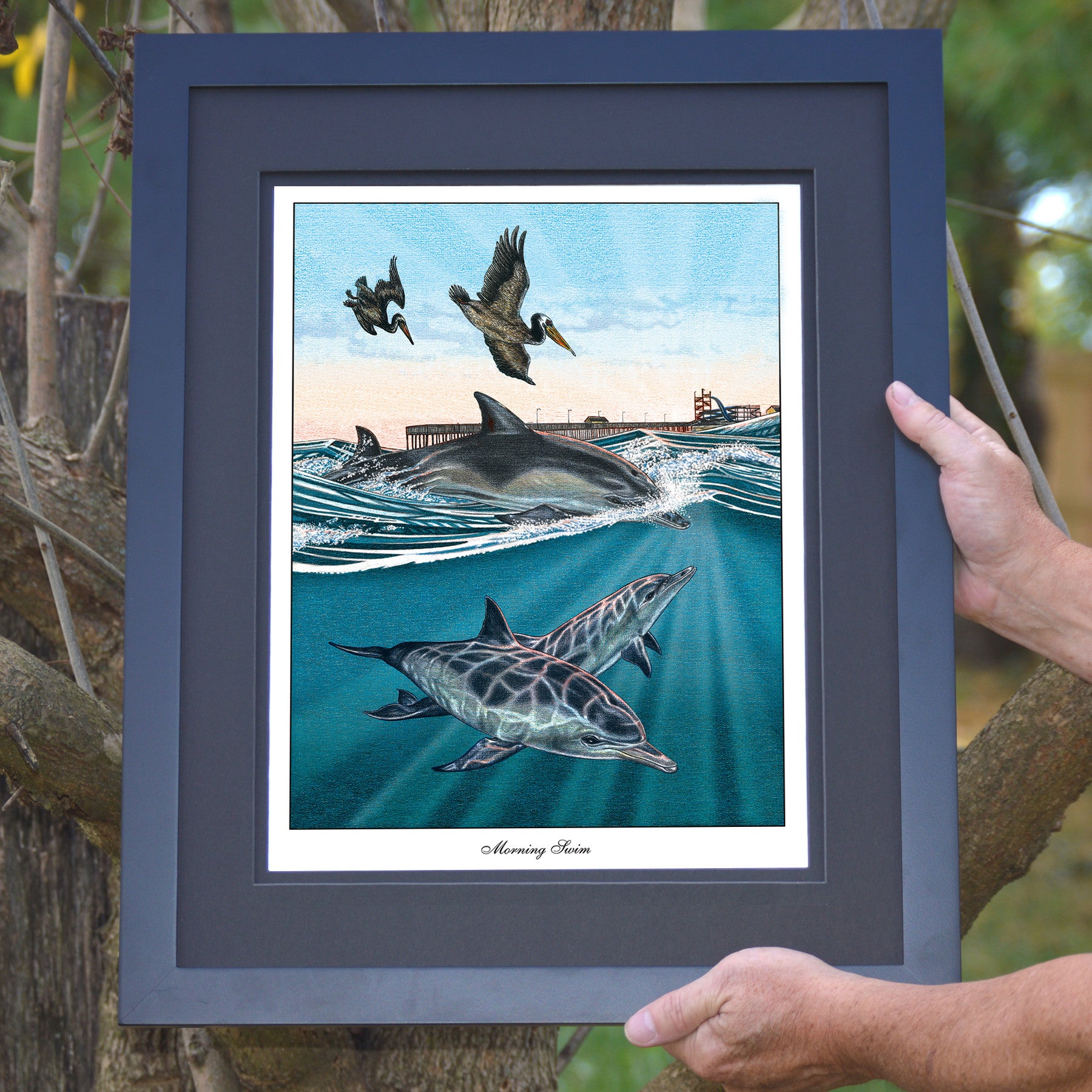 Morning Swim Dolphins & Pelicans Wall Art - JWB Art Unlimited