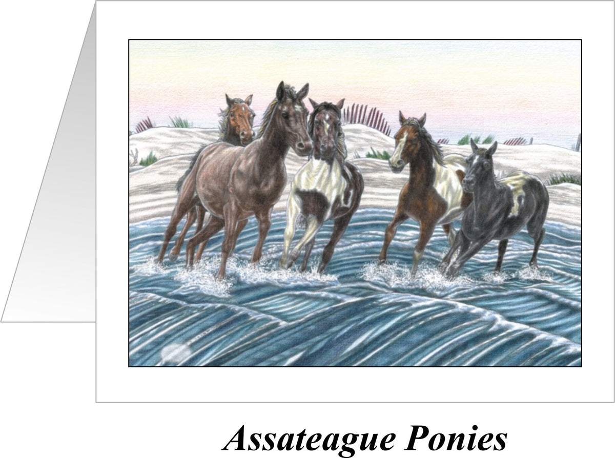Ponies of Assateague Note Cards