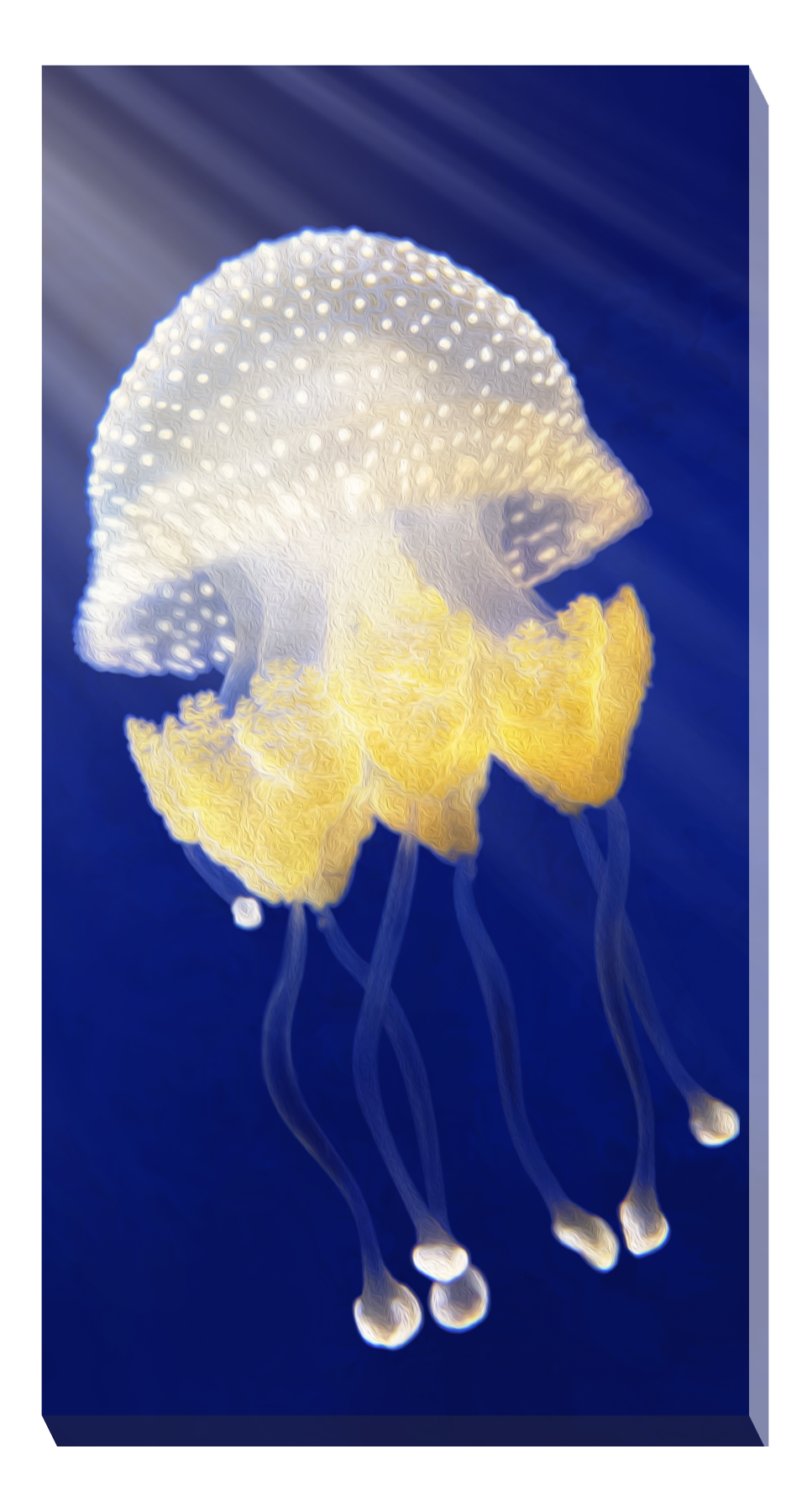 Royal Jelly Jellyfish Wall Art - JWB Art Unlimited