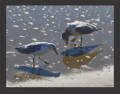 Sand Dance Beach Seagull Wall Art - JWB Art Unlimited