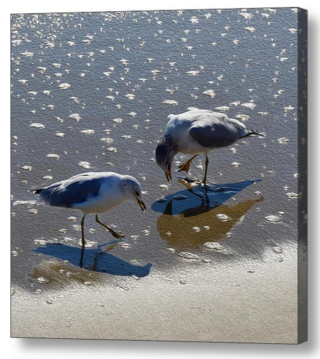 Sand Dance Beach Seagull Wall Art - JWB Art Unlimited