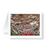 Seasonings Greetings Christmas Cards - JWB Art Unlimited