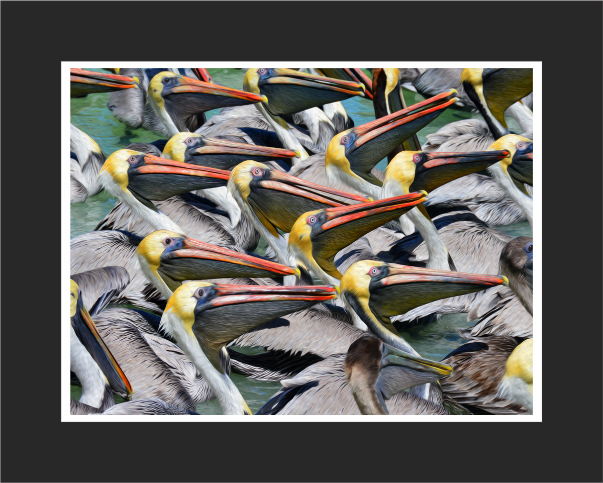 Standing Room Only Pelican Wall Art - JWB Art Unlimited