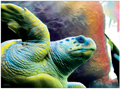Still Cruisin' Sea Turtle Print - JWB Art Unlimited