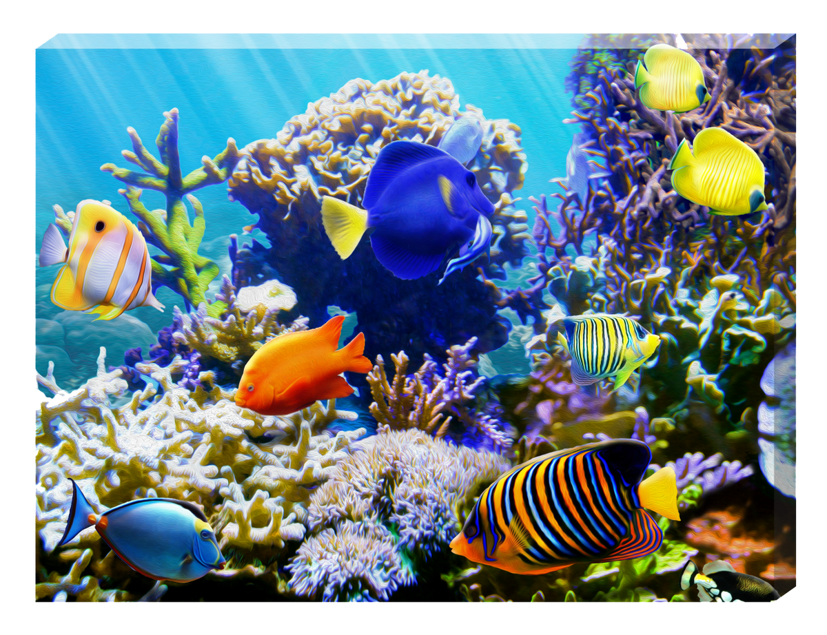 Tropic Wonder Uno Reef Wall Art - JWB Art Unlimited