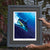 White Plunge - White Marlin Wall Art - JWB Art Unlimited