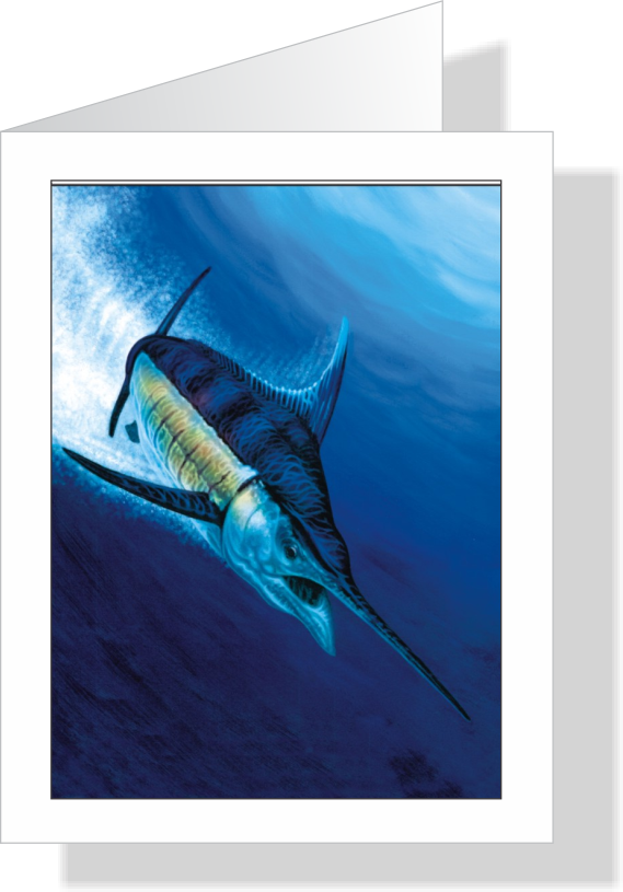 White Plunge - White Marlin Note Cards