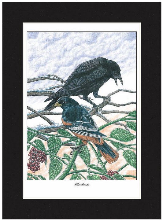 Yardbirds - Baltimore Ravens & Orioles Wall Art - JWB Art Unlimited