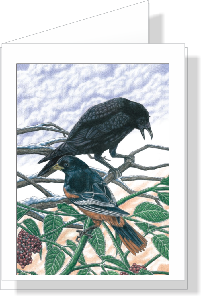 Yardbirds Raven &amp; Oriole Note Cards