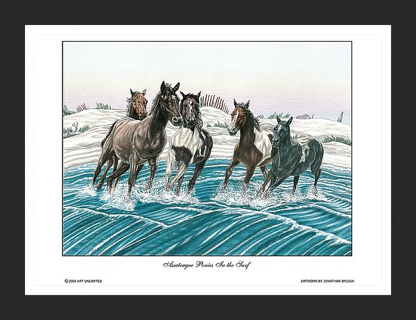 Ponies of Assateague Wall Art - JWB Art Unlimited
