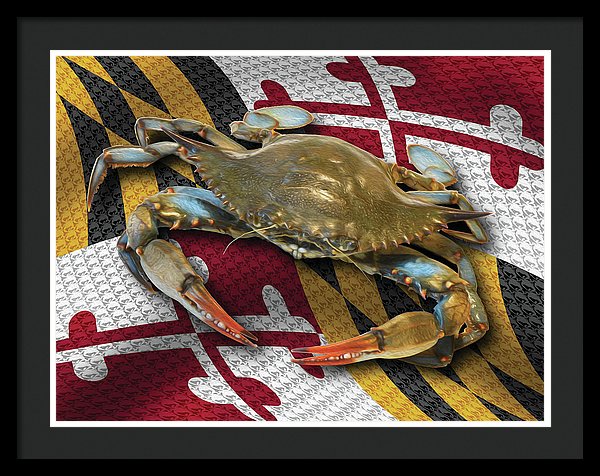 Banner Day Maryland Flag Wall Art - JWB Art Unlimited