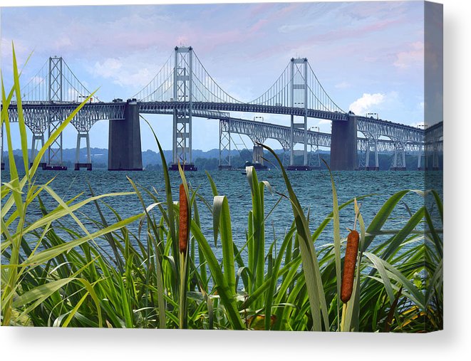 Beach Bound - JWB Art Unlimited