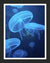 Blueberry Jelly Fish - JWB Art Unlimited