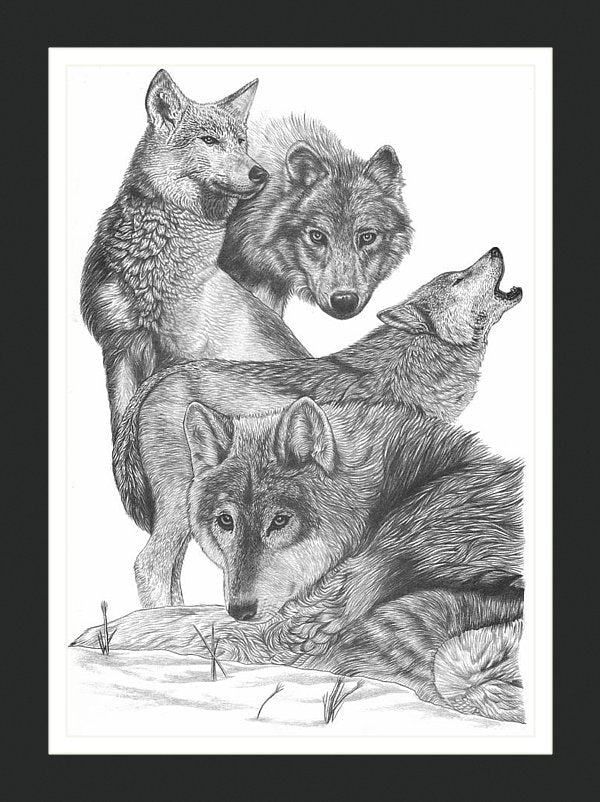 The Hunter Gray Wolf Wall Art