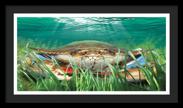Crabgrass Crab Wall Art - JWB Art Unlimited