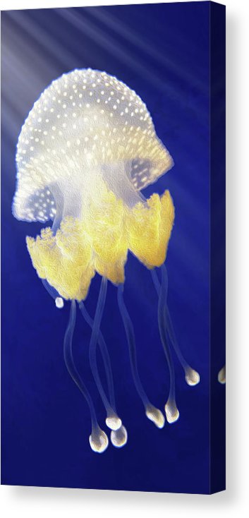 Royal Jelly Jellyfish Wall Art