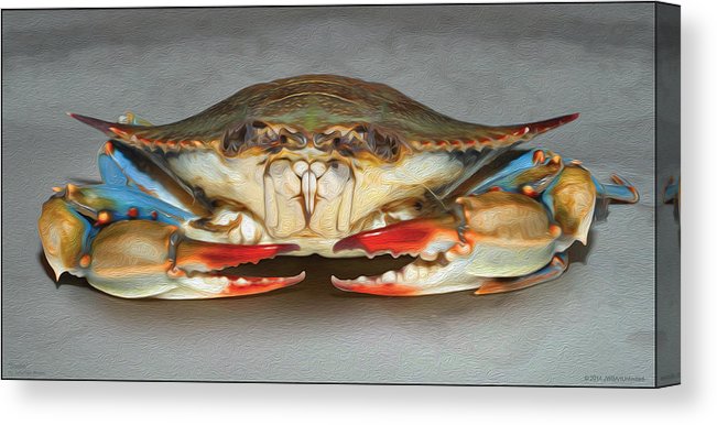 Sookie the She Crab Wall Art - JWB Art Unlimited