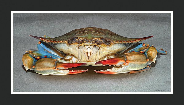 Sookie the She Crab Wall Art - JWB Art Unlimited