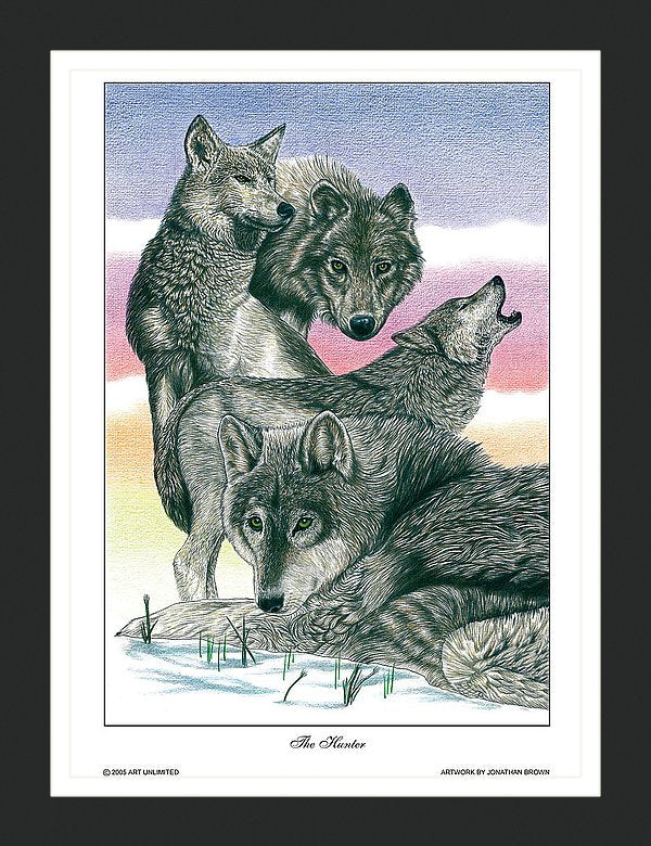 The Hunter Gray Wolf Wall Art